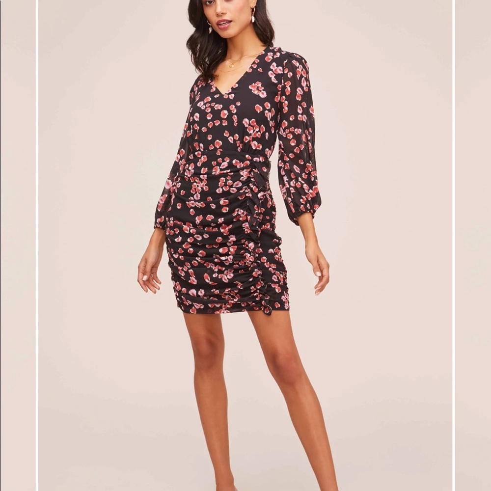 Astr Shirred Long Sleeve Mini Dress